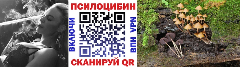 Галлюциногенные грибы мухоморы  Купить закладки  Апатиты 