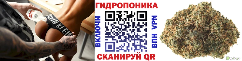 Шишки марихуана тримм  Купить где  Апатиты 